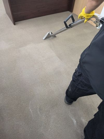 카페트 청소 현장